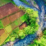 Sejarah, Tokoh, Tujuan, dan Kegiatan