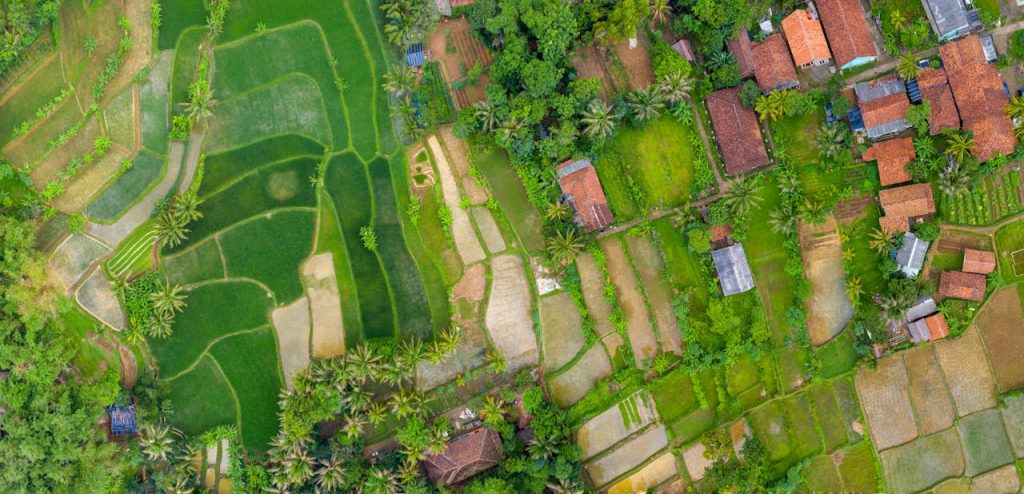 Mengenal Sumber Daya Biotik: Pengertian, Jenis-Jenis, Peran dan Ancamannya